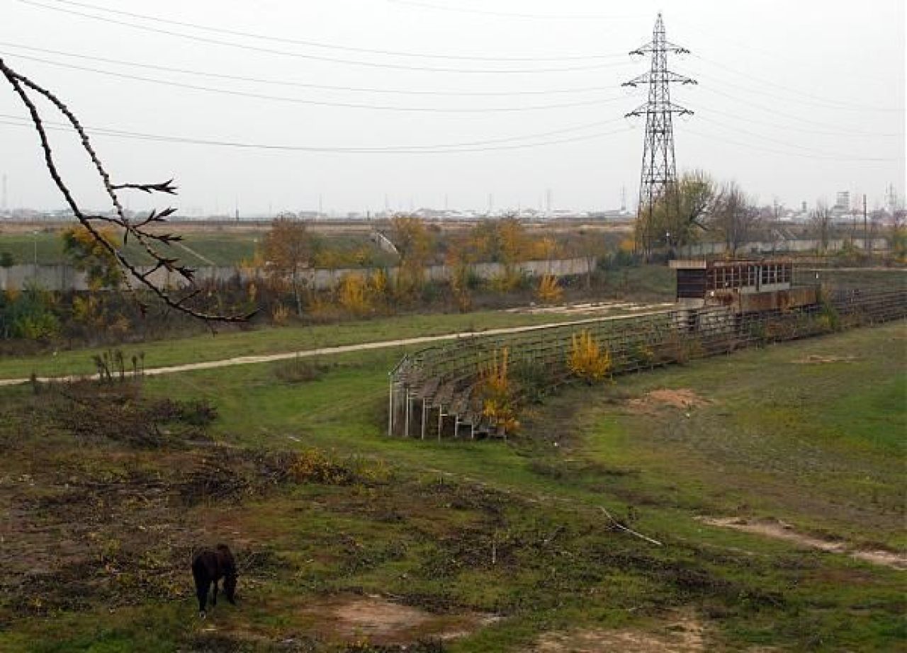 SOS bazele sportive din București! Câte dintre ele au fost abandonate după 1989_3