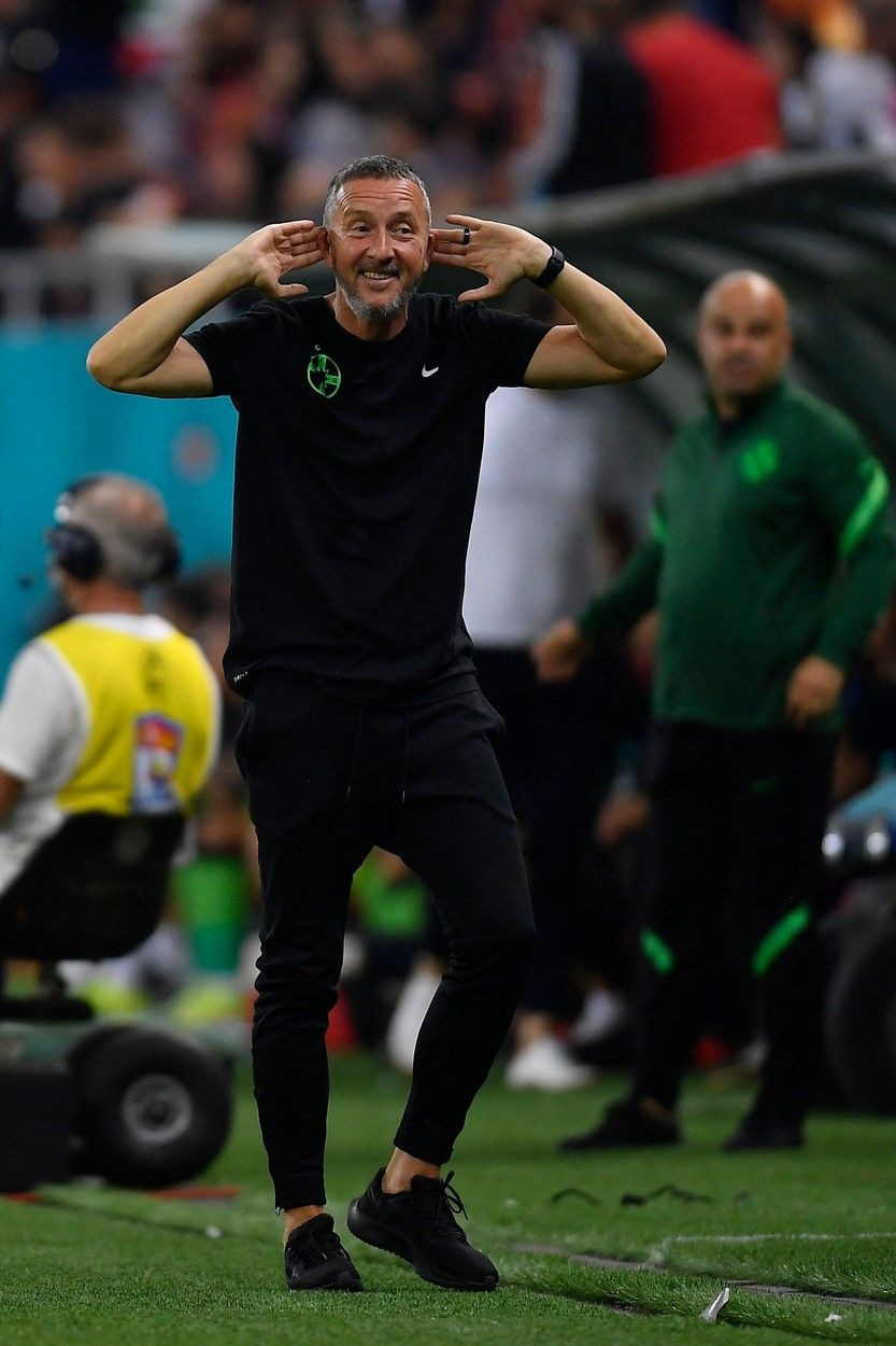 Mihai Stoica, reacție 