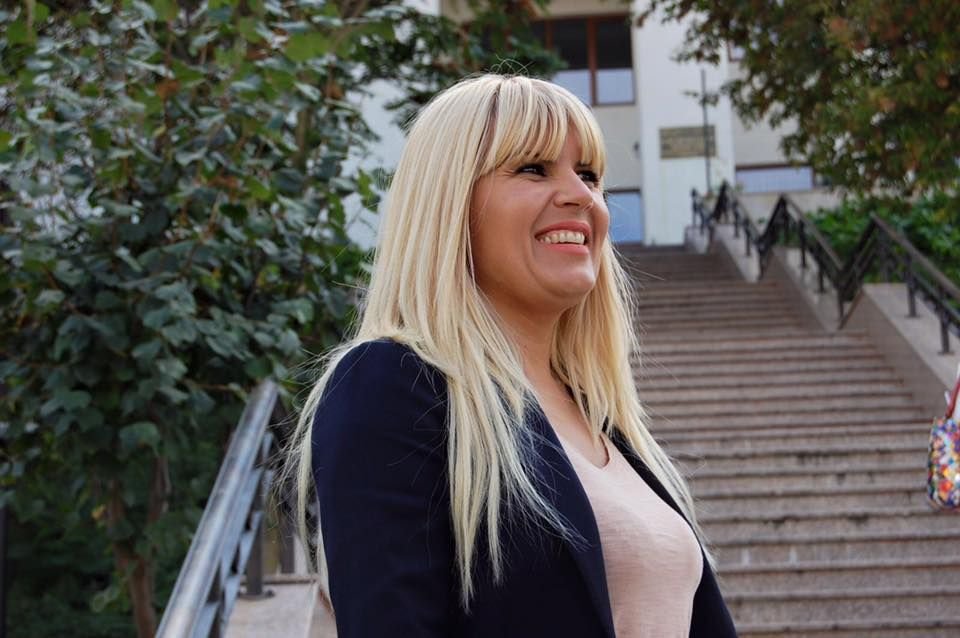 Rudel Obreja și Elena Udrea, condamnați la închisoare cu executare în dosarul Gala Bute! Ce pedeapse au primit _5