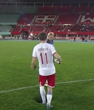 Moment bizar la meciul Austria - Danemarca. O gaură chiar la mijlocul terenului: 