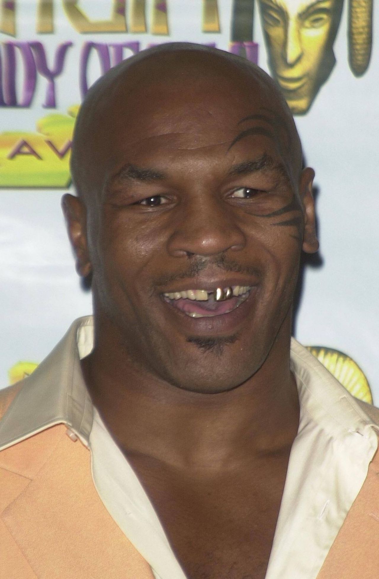 Ce avere are Mike Tyson și de ce nu vrea să devină antrenor_2