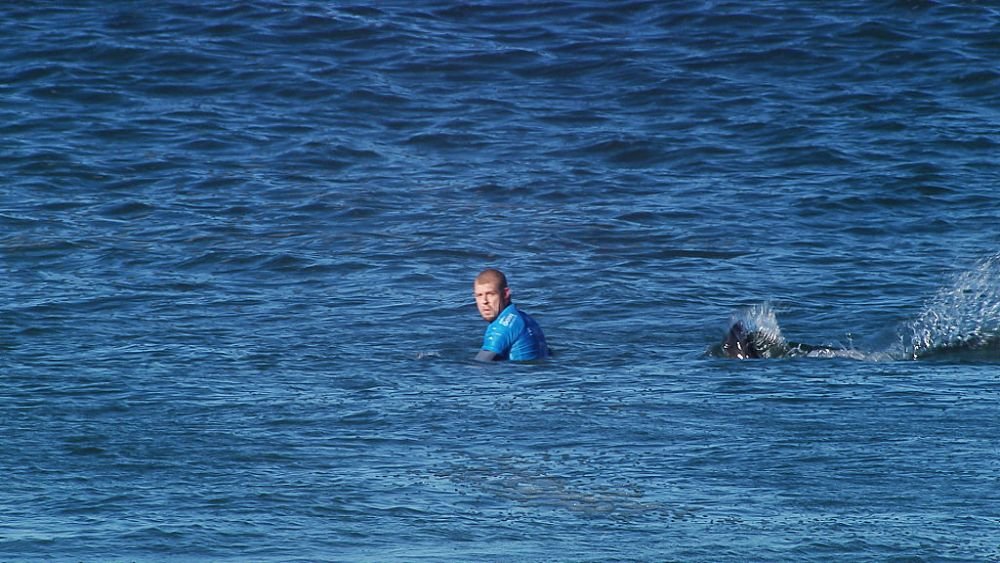 A scăpat ca prin urechile acului de un rechin! Reacția surferului după teribilul accident: 