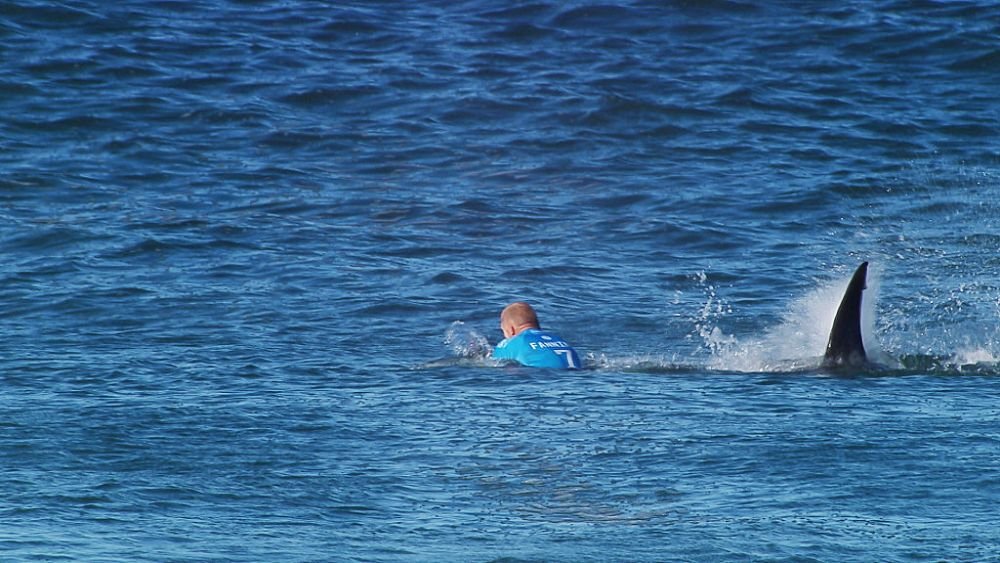 A scăpat ca prin urechile acului de un rechin! Reacția surferului după teribilul accident: 