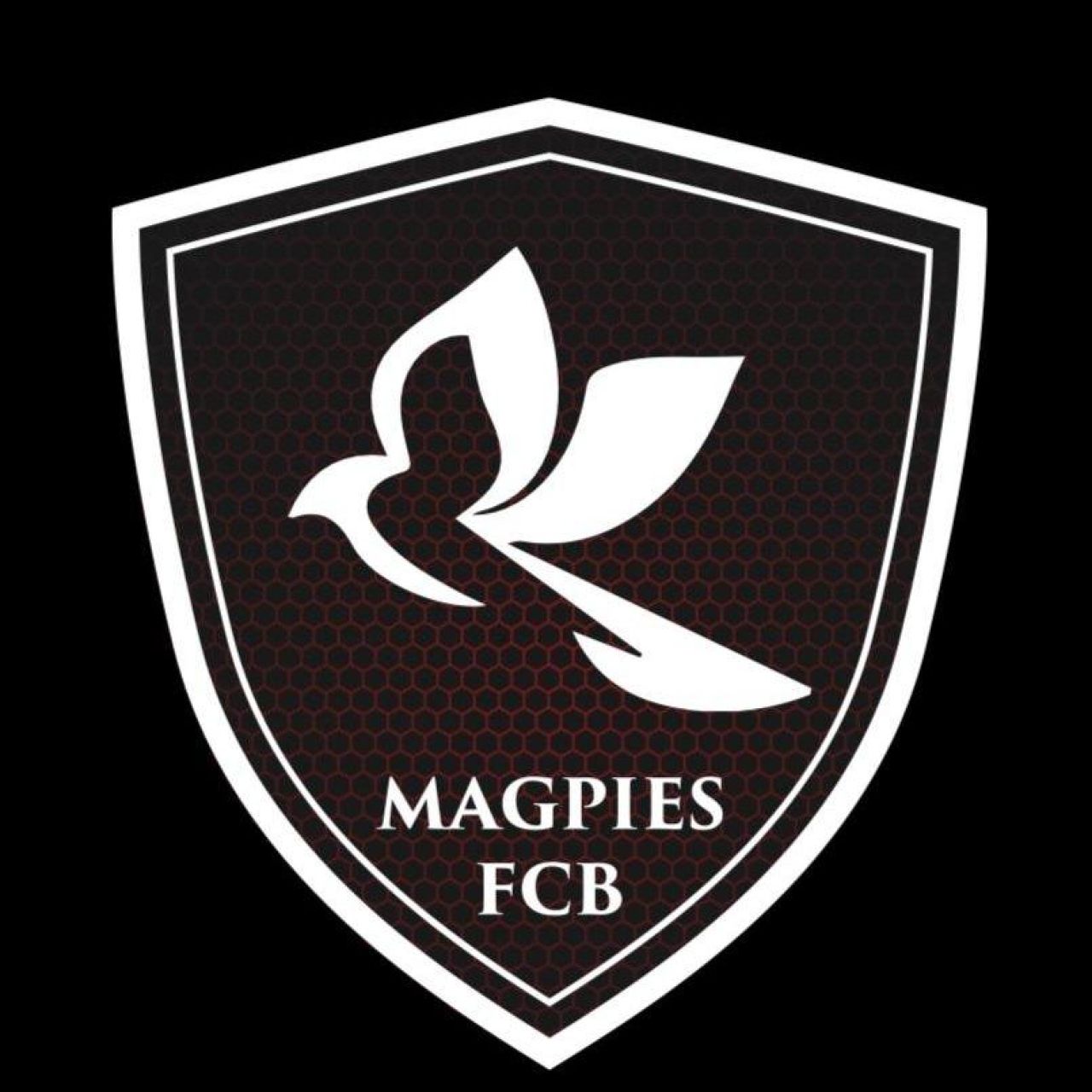 În 2013, băieții ăștia și-au făcut propria echipă de fotbal, iar acum tocmai au câștigat primul meci în cupele europene_4