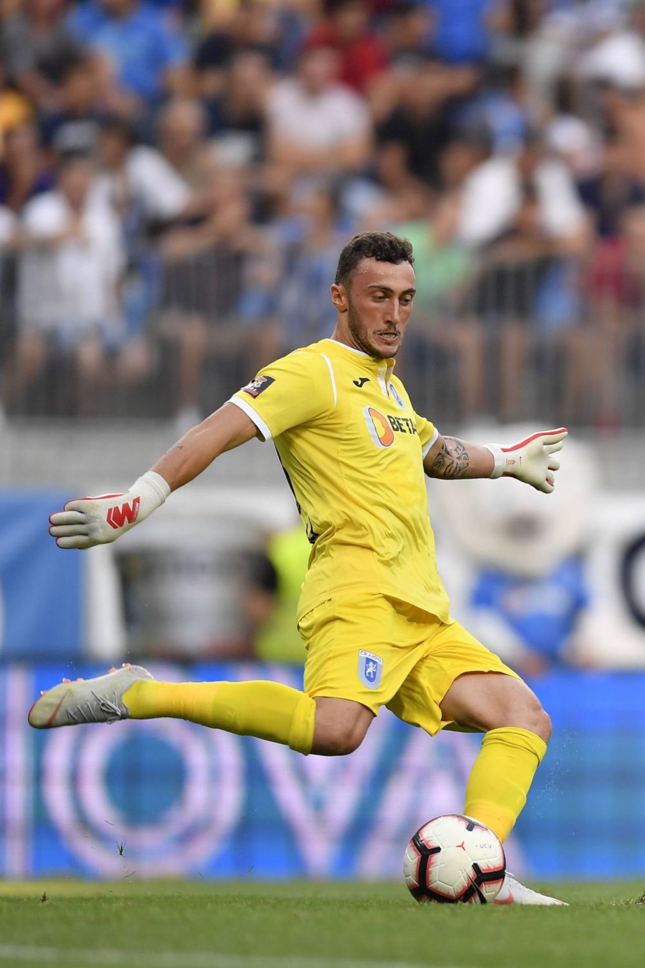Mirko Pigliacelli:
