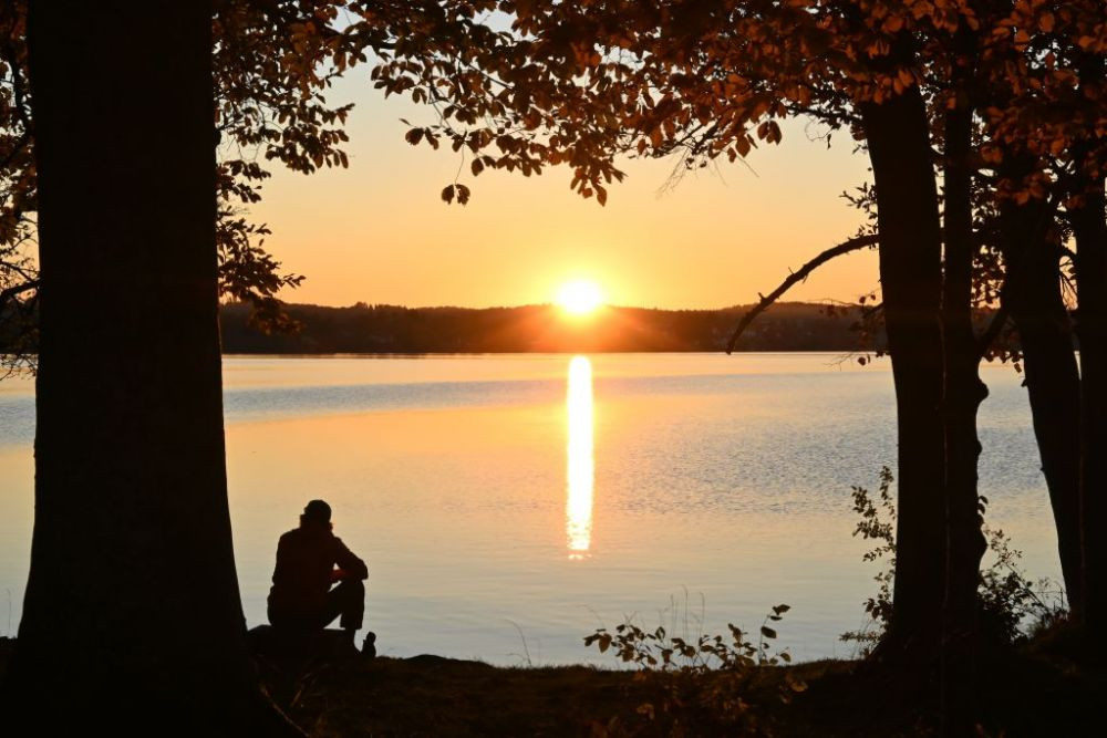 Mai ceva ca &icirc;n filmele de groază! Jens Lehmann i-a distrus garajul vecinului cu drujba! La c&acirc;t se ridică paguba&nbsp;