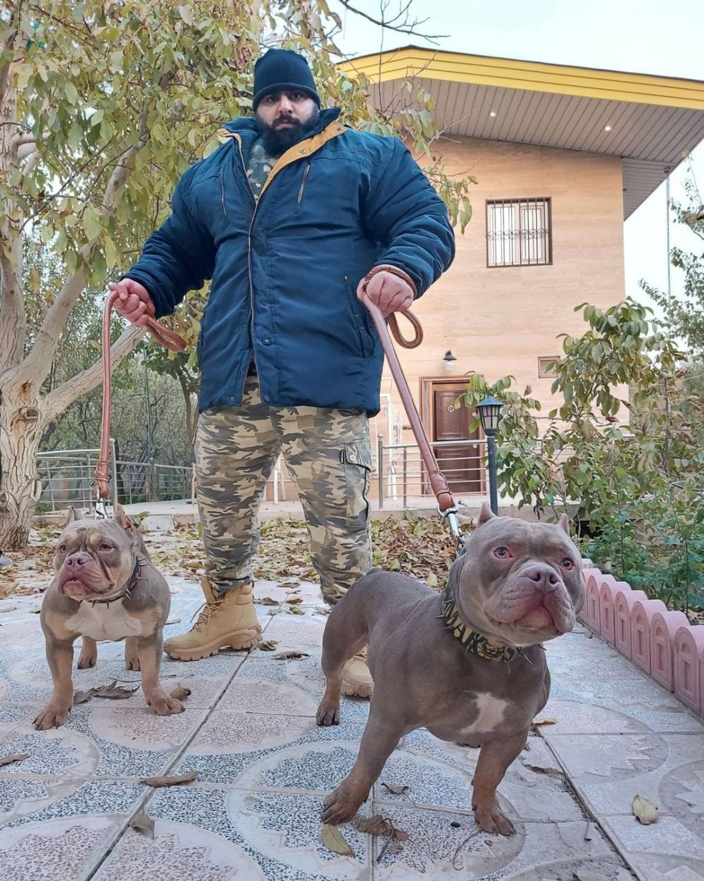 „Hulk din Iran”, făcut praf de iranieni după ce a fost umilit în ring: „Fake Hulk! A făcut de râs o țară întreagă!” _4