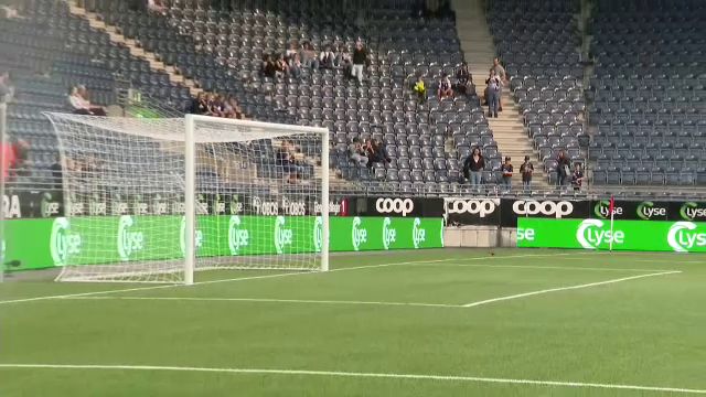 ”Intrus” pe teren înainte de Viking - FCSB! O veveriță s-a plimbat pe suprafața de joc :) _8