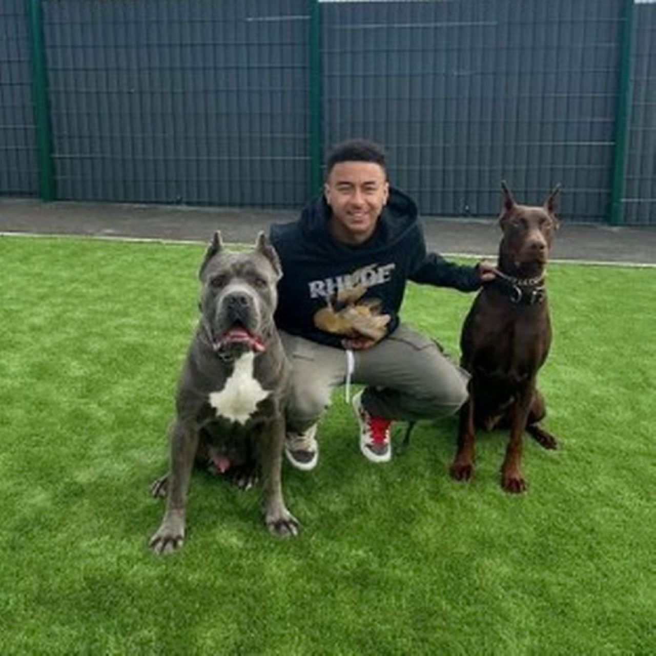 Al doilea star din Premier League care este acuzat de cruzime împotriva animalelor! _1