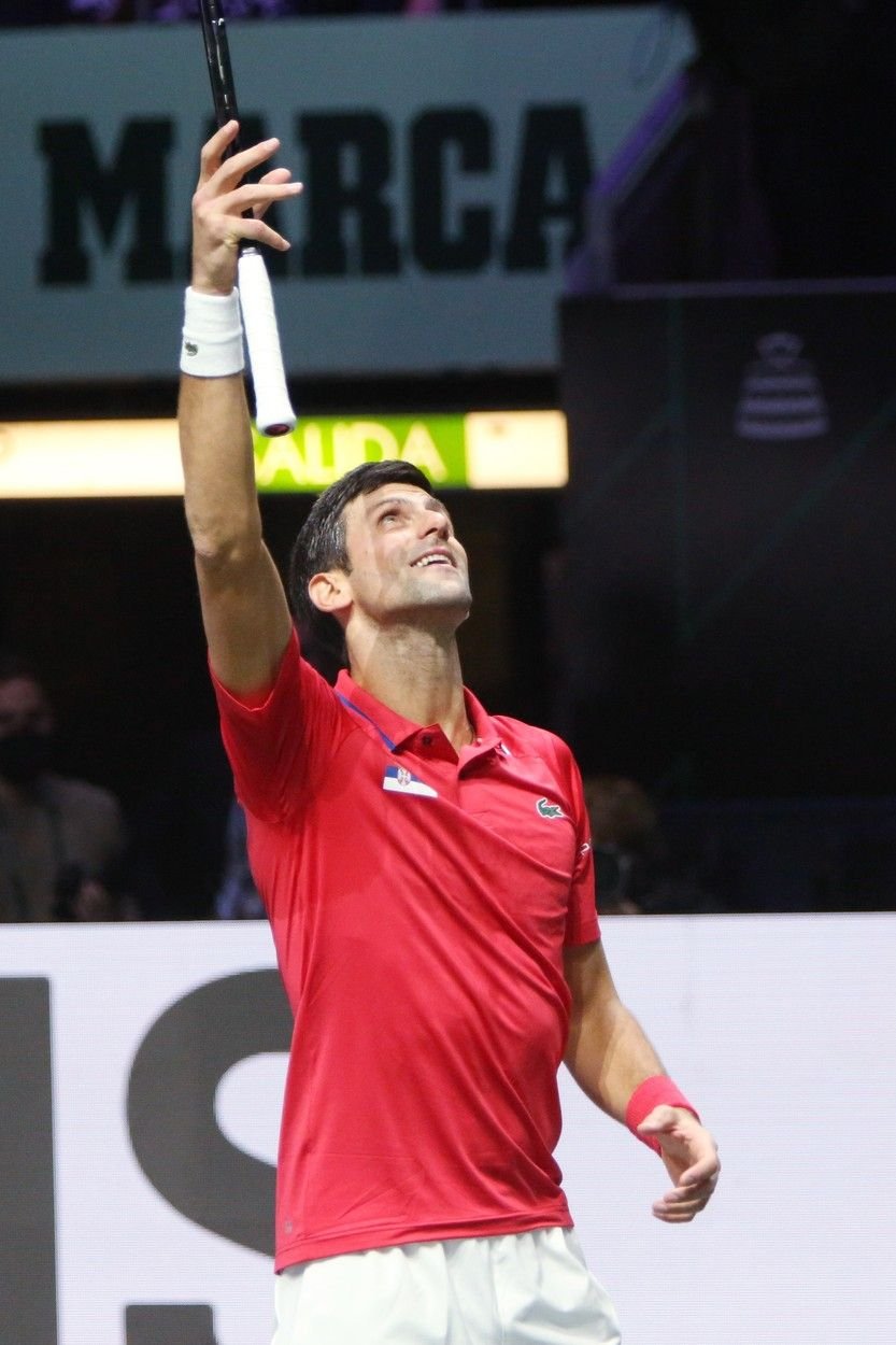 Novak Djokovic, la Australian Open. Ce a cerut directorul primului turneu de Grand Slam din 2023_6