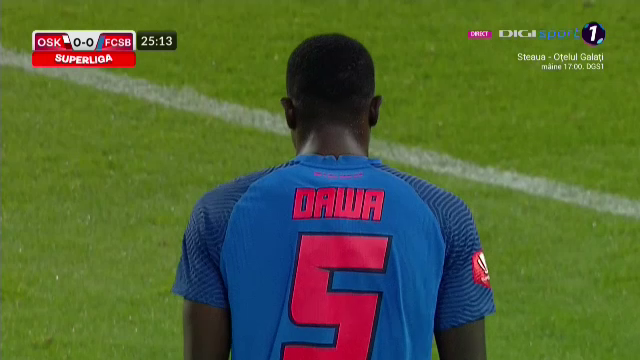 Ștefan Târnovanu, 