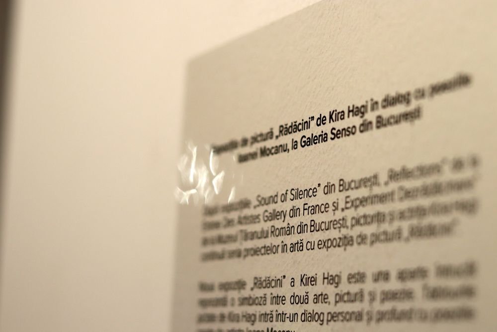 Kira Hagi și-a lansat o expoziție inedită de pictură. Ilie Dumitrescu a cumpărat un tablou de 1.000 de euro_31
