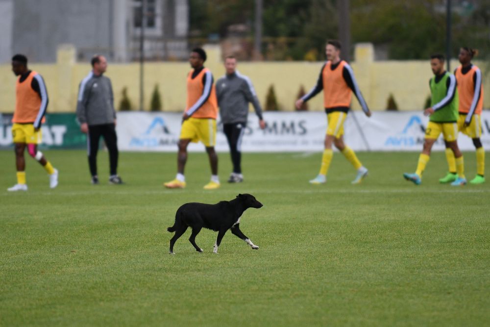 Federația Moldovenească de Fotbal chiar e profi! Statistica primei părți din Super Liga: cine e singurul român care joacă în Moldova_20