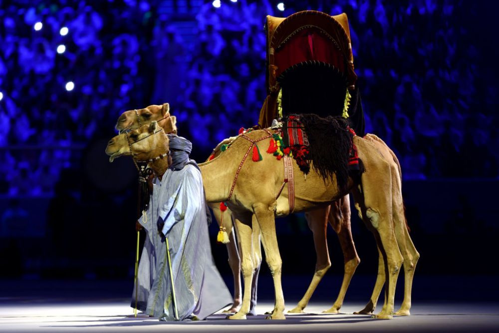 Imagini spectaculoase de la festivitatea de deschidere a Campionatului Mondial din Qatar. Poveste în culori_5