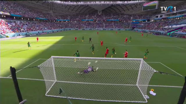 Elvetia Camerun Live Text Ora 12 00 Duel In Premiera La Campionatul Mondial Din Qatar 4_19112