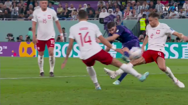 Nu l-a putut opri nimeni! Reușită excepțională în Polonia - Argentina pentru „pume”_36