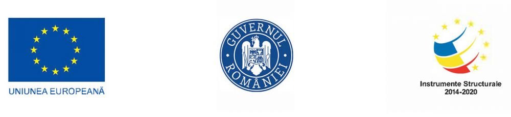 Poliția Română lansează campania de educație rutieră vizând neatenția la volan_4