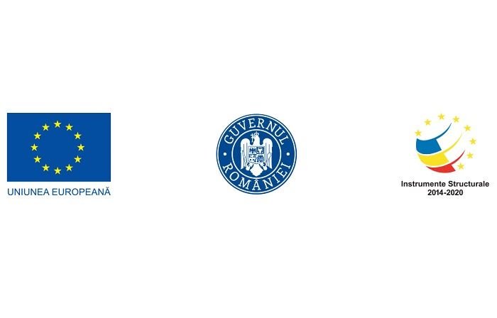 Poliția Română lansează campania de educație rutieră vizând neatenția la volan_6