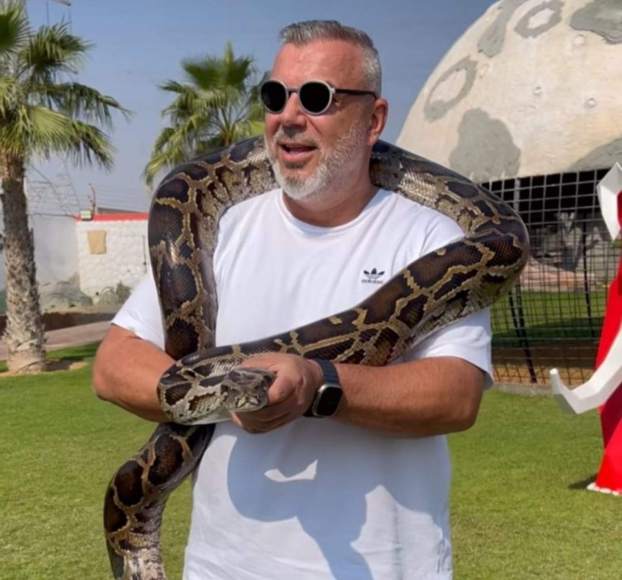 Lion King! Cosmin Olăroiu, moment de senzație în Dubai: a plimbat un leu în lesă și s-a fotografiat cu un șarpe _1