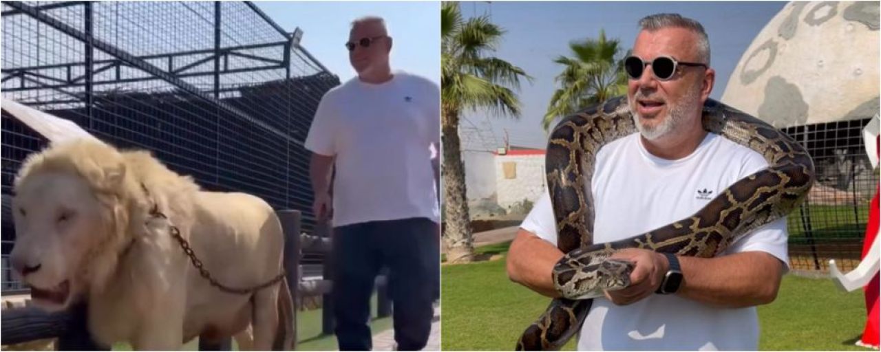 Lion King! Cosmin Olăroiu, moment de senzație în Dubai: a plimbat un leu în lesă și s-a fotografiat cu un șarpe _4