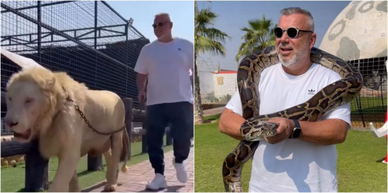 Lion King! Cosmin Olăroiu, moment de senzație în Dubai: a plimbat un leu în lesă și s-a fotografiat cu un șarpe _6