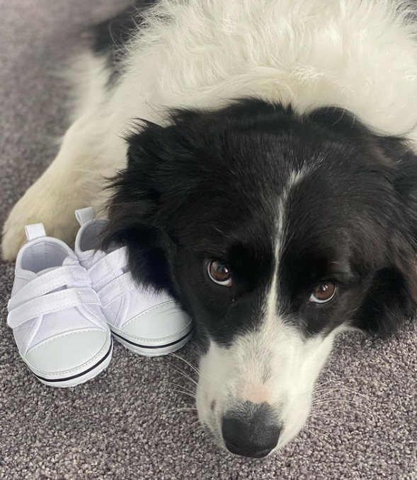 Ashleigh Barty a făcut marele anunț: fostul număr 1 WTA este însărcinată_17