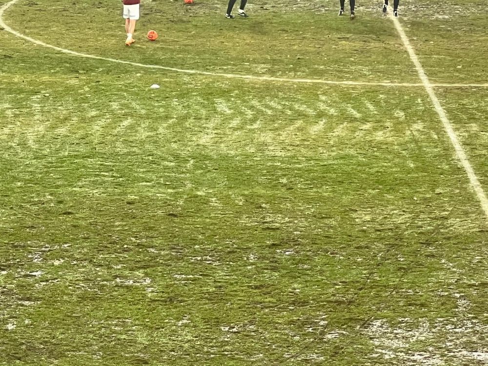 Imagini de pe „Cluj-Arena”. Cum arată gazonul_1