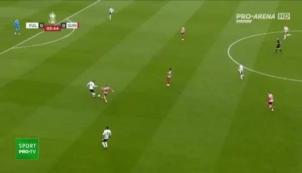 Fulham - Sunderland: rezumat