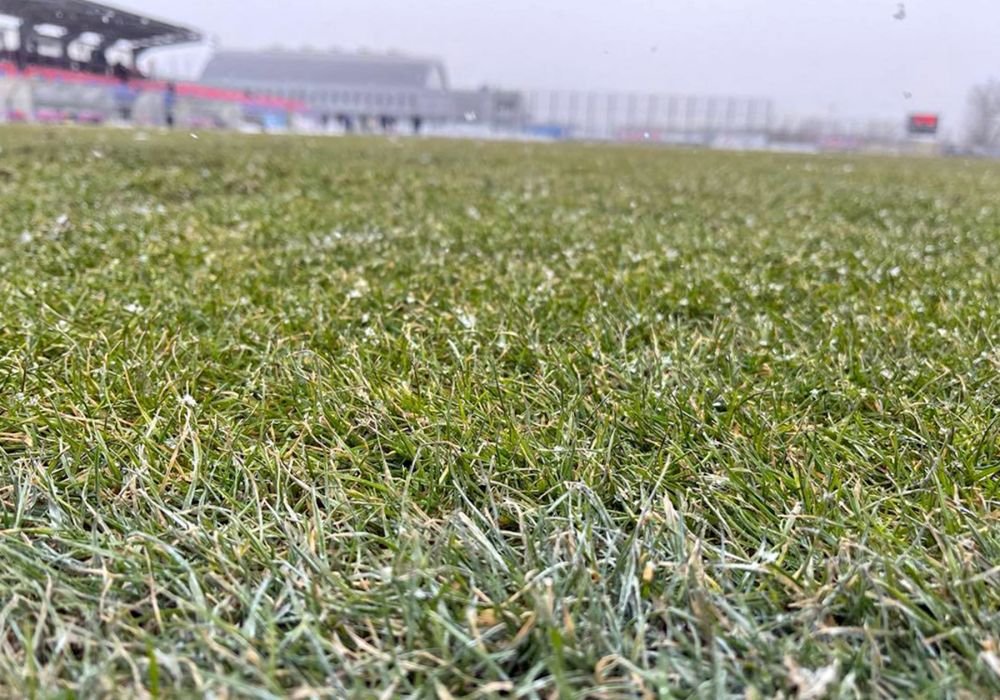 Terenul de antrenament al Stelei, mai bun decât unele gazoane din Liga 1!_3