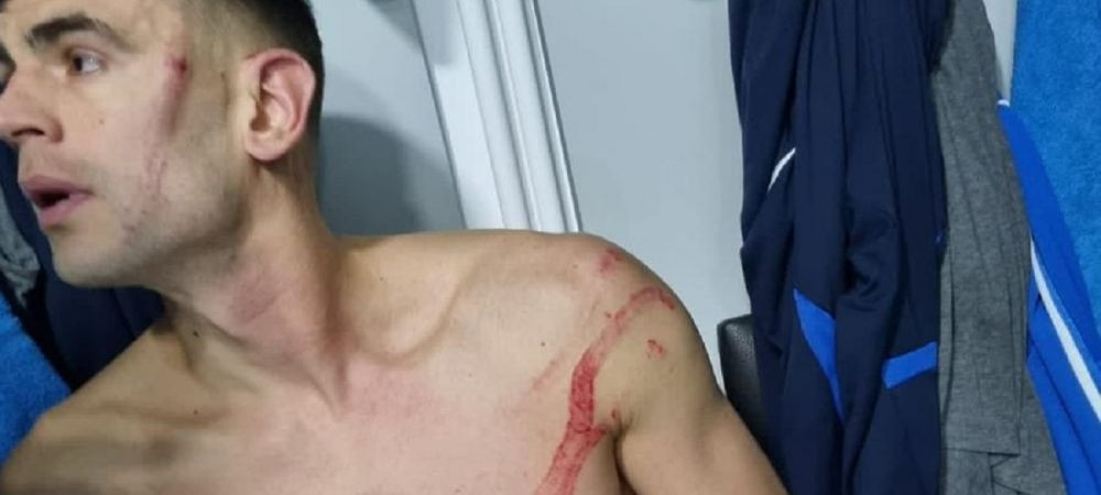 Pandele iese la atac! 