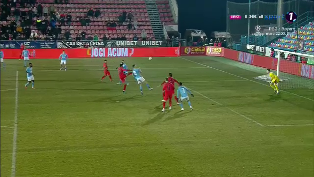 Pandele iese la atac! 