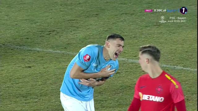 Pandele iese la atac! 