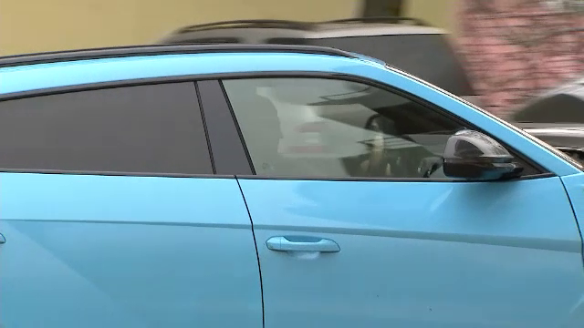 Familia Mititelu, apariție care îți 'taie respirația' la sediul LPF. Bolidul de lux din care au coborât cei doi_26