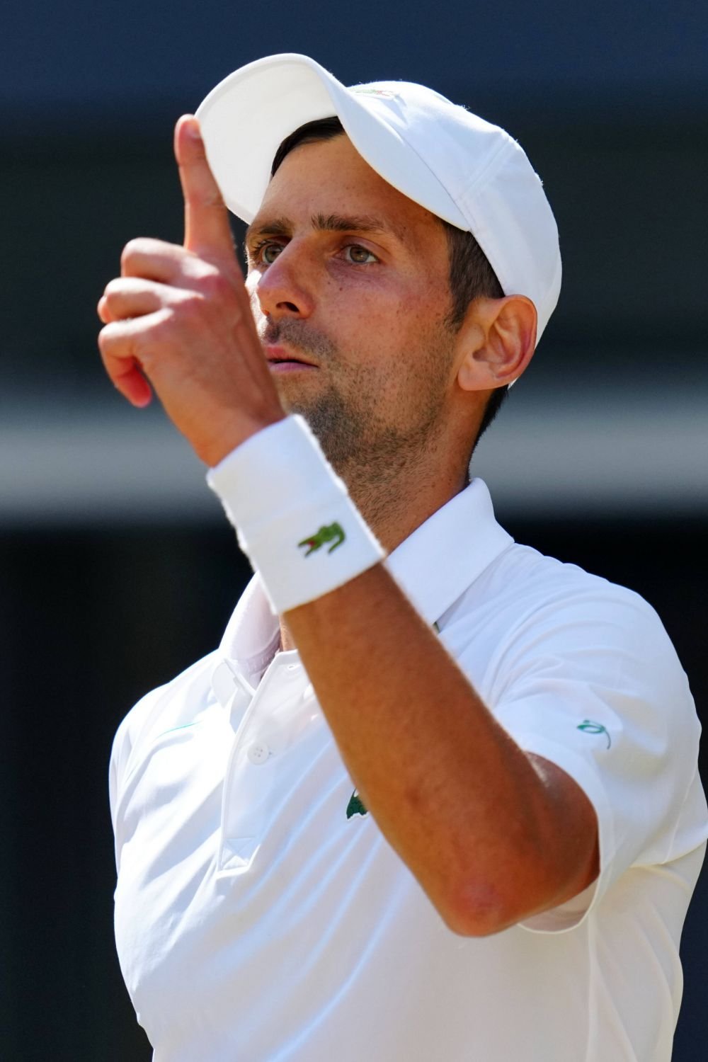 Intervenție la nivel înalt pentru Novak Djokovic după ce sârbul a spus: 