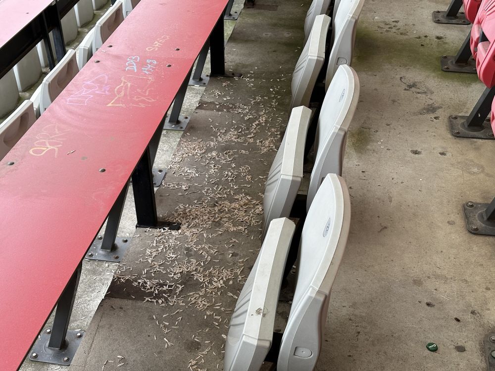 Stadionul Dinamo devine
