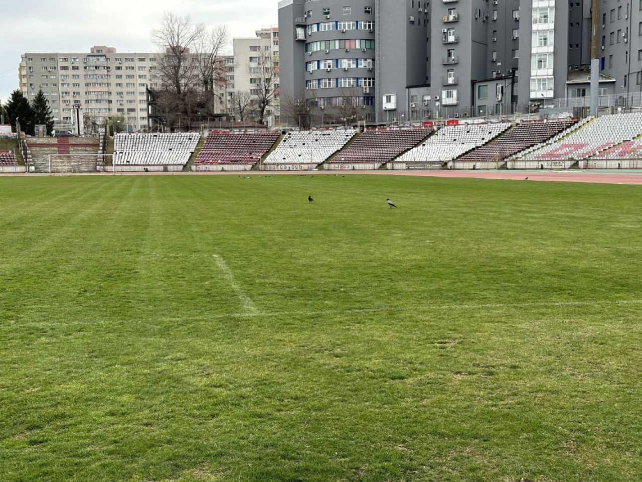 Stadionul Dinamo devine