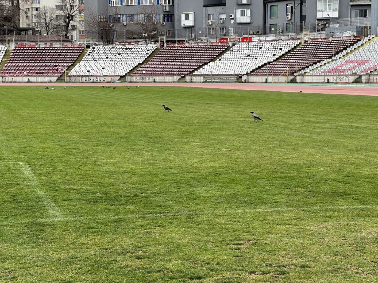 Stadionul Dinamo devine