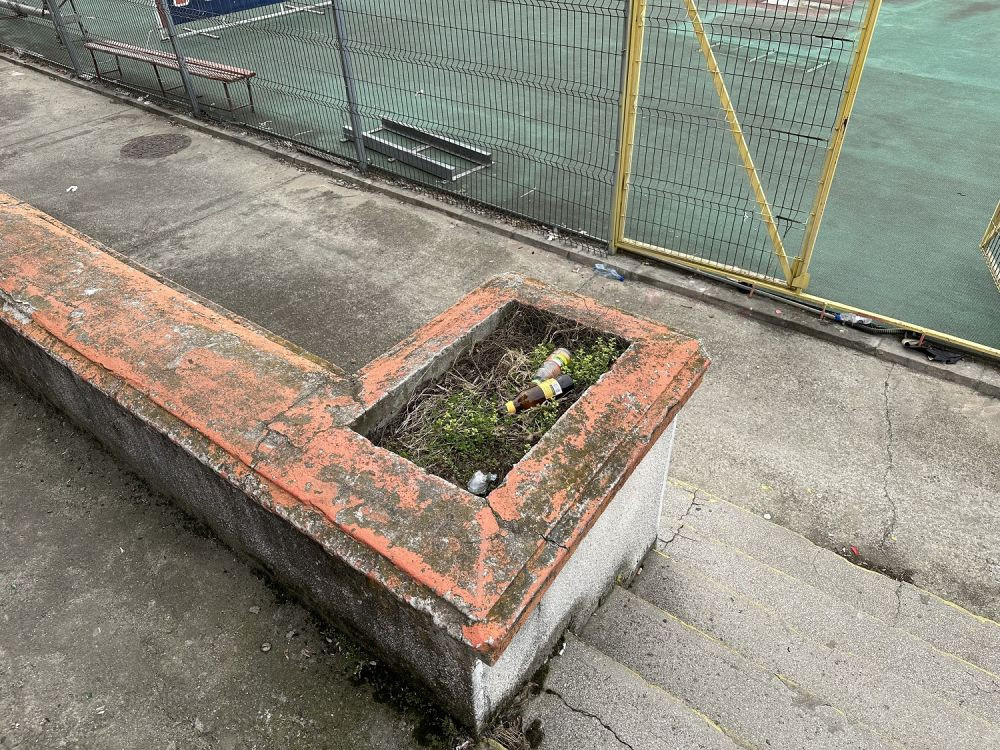 Stadionul Dinamo devine 