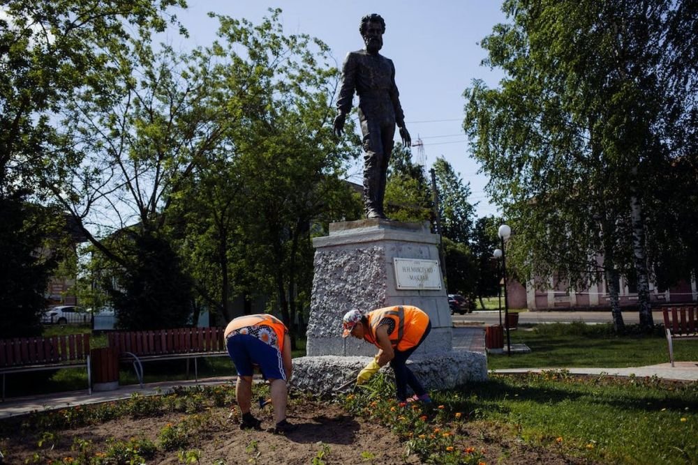(P) Tips Tricks pentru a planta semințe pentru gazon și a obține un rezultat ca &icirc;n reviste