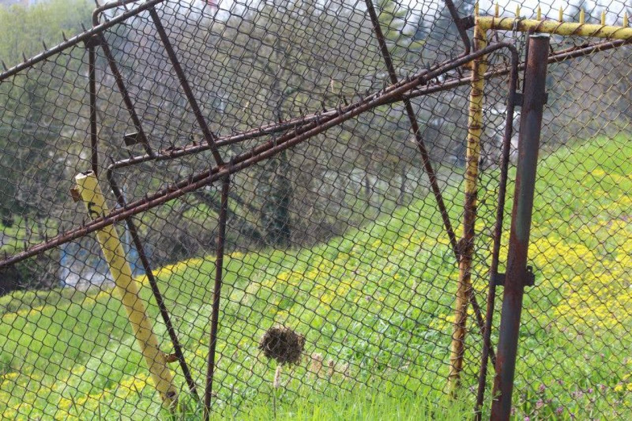 Autoritățile își bat joc de un stadion legendar din România: