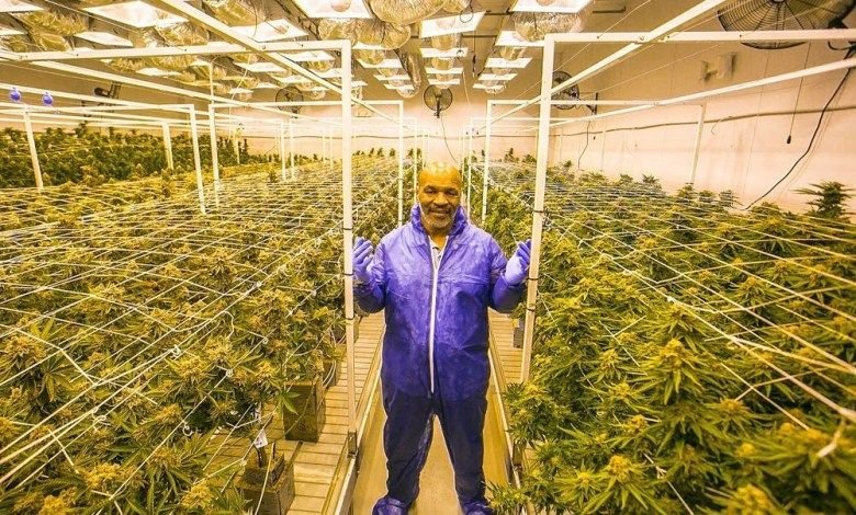 Mike Tyson îndeamnă sportivii să consume droguri: „Te ajută! Te fac mult mai bun!”_3