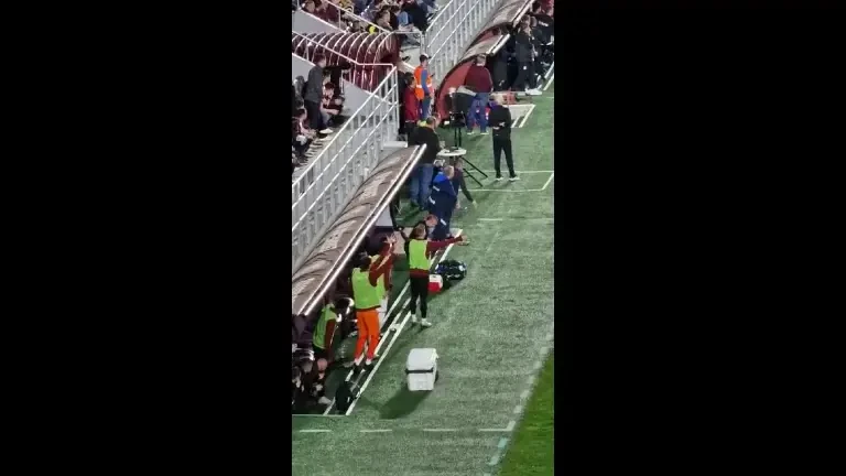 Dan Petrescu, criză de nervi la meciul cu Rapid (01.05.2023)