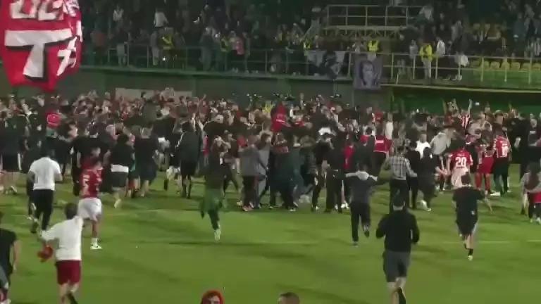 Suporterii lui Dinamo au intrat pe teren după promovarea în Superliga