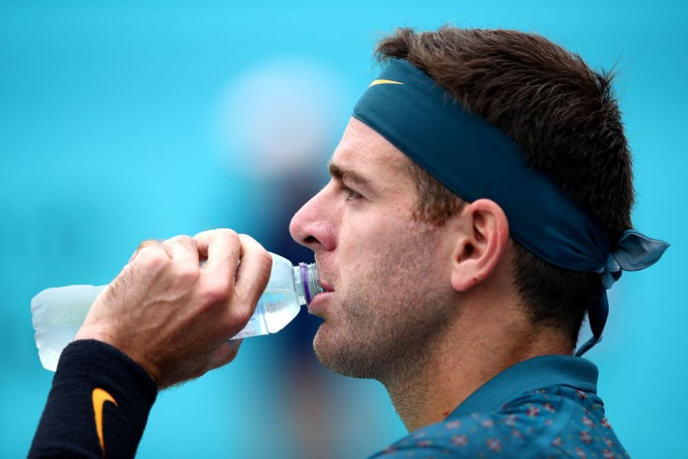 Del Potro îl atacă pe Alcaraz: „La vârsta lui, eu îl băteam pe Federer, iar el are crampe musculare?”_19