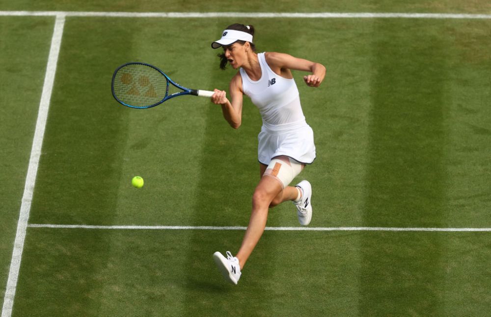 Cât costă o porție de căpșuni la Wimbledon și care e cantitatea de alcool pe care spectatorii și-o pot aduce de acasă_34
