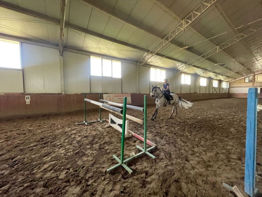 Povestea emoționantă a Catalinei Maria Sfetea și a cailor săi: „Când ei au o problemă, am și eu”. Echitația, între bucurie și sentimentul de tristețe_11