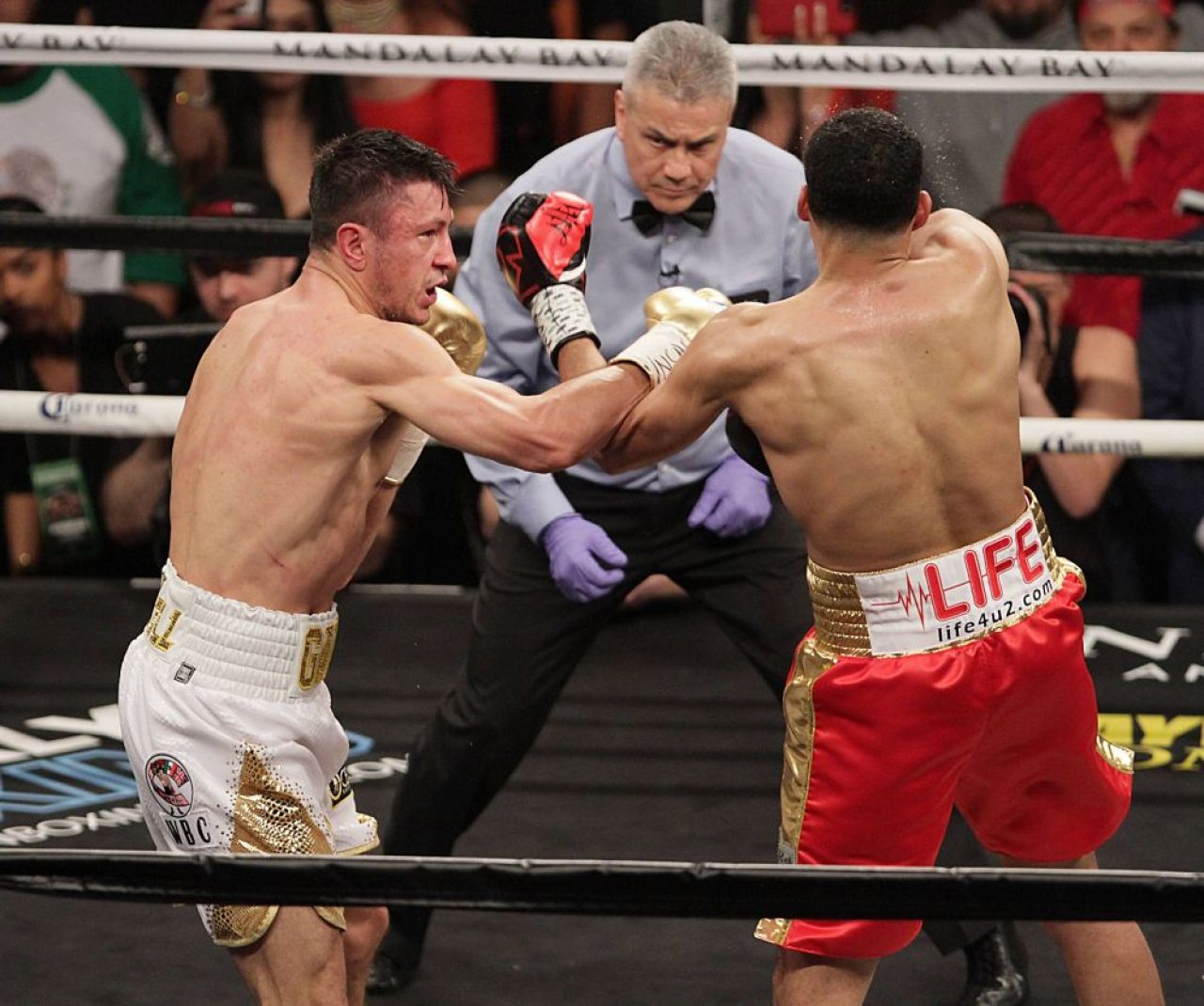 Planul lui Ronald Gavril. Pugilistul vrea să organizeze în România o gală de box