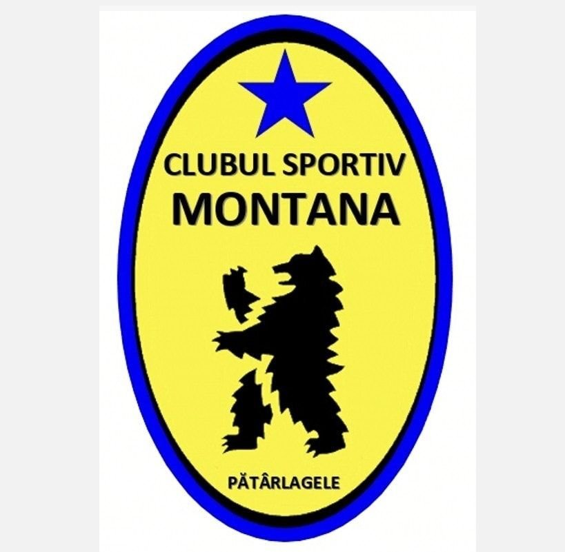 Copy-paste! Echipele românești care au copiat emblemele unor cluburi celebre din străinătate_6