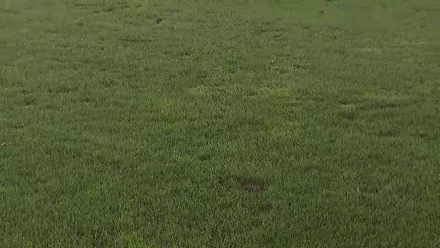 Nemulțumirea lui Mihai Stoica, înaintea meciului FCSB - CSKA 1948: