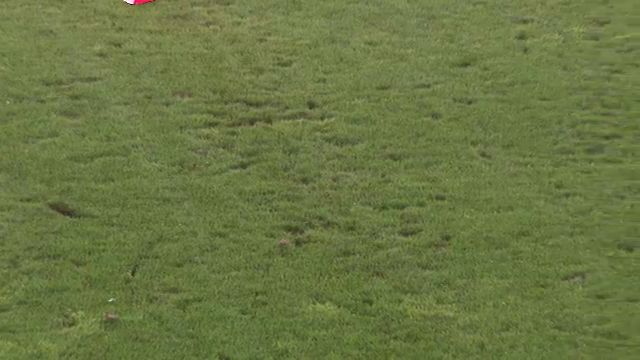 Nemulțumirea lui Mihai Stoica, înaintea meciului FCSB - CSKA 1948: